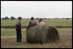 Talk of the morning: three Kansas farmers took some time off from loading alfalfa bales to talk about crops and weather