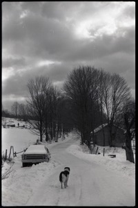 Dog and parked car on a snowy road, Montague Farm commune