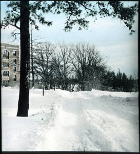 Springfield College in Winter