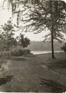 Dirt pathway leading to Lake Massasoit (1914)