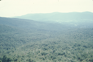 Aerial oblique view southeast down Birch Brook 2 Sept 1971.