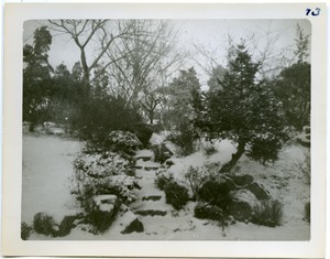 Snow-covered decorative garden
