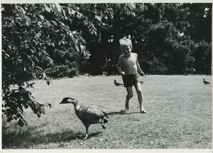 Boy chasing goose