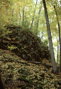 Carol Collier '93 Senior Thesis on Beinecke Stand. 13. Northwest Hill outcrop near southern end of the Beinecke Stand.