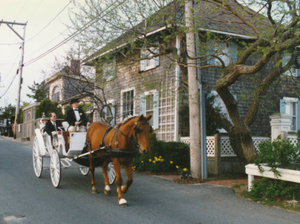 Wedding photo