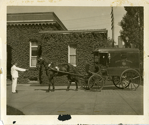 [Horse-drawn ambulance]