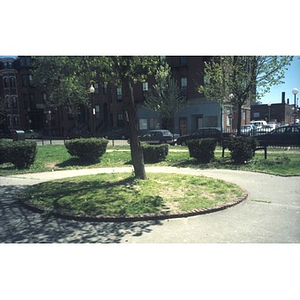 A tree and bushes in a park near Villa Victoria.