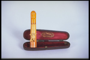 Cigar filter and case