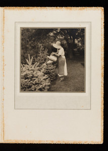Woman watering fir trees, Robert Lawton farm, Plainfield Pike, Cranston, Rhode Island