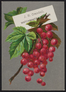 Trade card for J.H. Crandell, watchmaker & jeweler, 7 North Street, Salem, Mass., undated