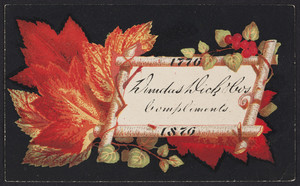 Trade card for Dundas Dick & Company, Tasteless Medicines, New York, New York, 1876-1877