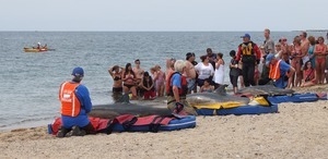 International Fund for Animal Welfare volunteers care for stranded dolphins lying on cushions near the water, with crowd looking on