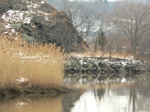 Water's edge in a winter landscape