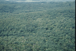 Aerial oblique view of Plot Lilne 20 from South + Middle Branch across North Branch of Birch Brook on 2 Sept 1971. View from Cruise Line 14.