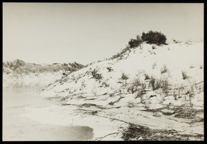 View of a beach and dunes.