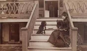 Miss Langdon seated with two dogs on steps of piazza
