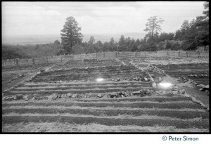 View of a tilled garden plot, Lama Foundation