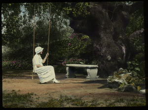In Pasadena (woman on swing under huge old tree)
