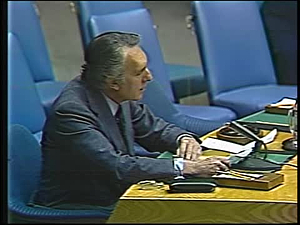U.N. Security Council Session on Iran