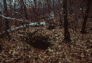 Samuel Humes, Williams Class of 1952, at a rock fault in Thornton-Black Lot.