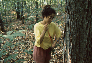 Maya Kumar, Williams Class of 1996, further coring red oak sample tree in Permanent Plot 1121.