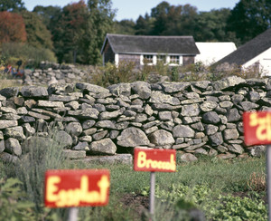 Stone walls and garden signs, Casey Farm, Saunderstown, R.I.
