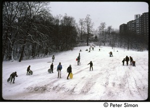 Sledding after a heavy snow, Riverdale, N.Y.