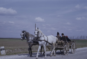 Peasants in wagon, Vojvodina