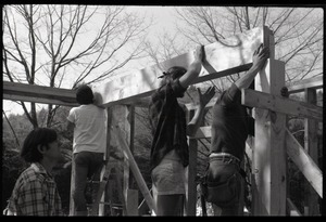 Framing work in new construction: raising a beam into place, Montague Farm Commune
