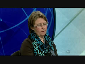 PBS NewsHour; January 2, 2013 3:00pm-4:00pm PST