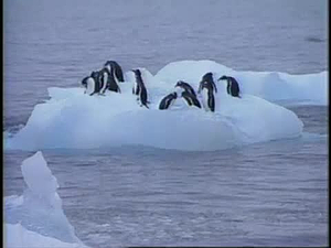 Antarctica: A Presence On The Ice