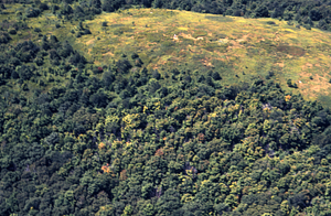 Aerial color image of Jim Smith Hill. False Color Infrared/True Color Project.
