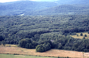 Aerial oblique view south toward International Biological Programme (IBP) Plot - U.S. Forest Service Farm Forestry Unit A North of Ford Glen Brook on 2 Sept 1971.