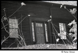 Hannan house, across the road from the Packer Corners commune, seen through maple seedlings