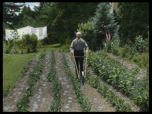 Frank Waugh cultivating his garden