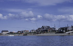 Houses along shore