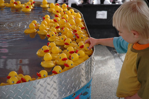 Franklin County Fair: child looking at a rubber duck game