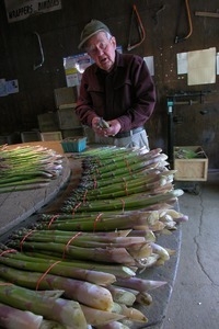 Hibbard Farm: Wallace Hibbard with bunched asparagus