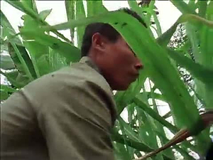 Vietnam: A Television History; Man Tends His Garden