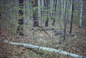 Bovee Farm, house foundation, South Branch Birch Brook.