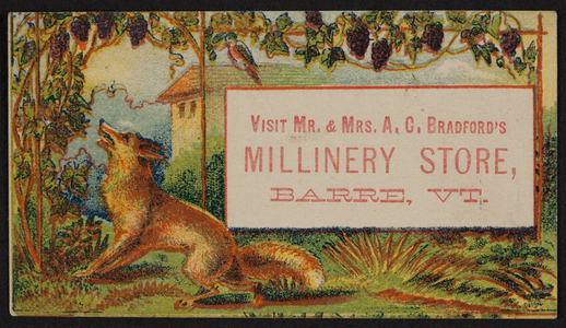 Trade card for Mr. and Mrs. A.C. Bradford's Millinery Store, Barre, Vermont, undated