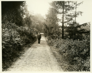 Hugh P. Baker standing on foliage-lined dirt path