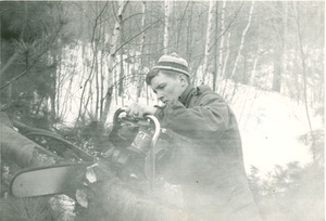 Forestry and Wildlife Management - Mt. Toby Forest