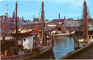 Fishing boats in port, Gloucester, Mass.