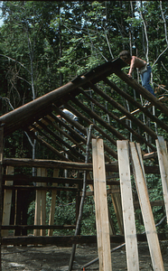 Roof sheathing (1) at the Moon Barn Raising at entrance to Hopkins Forest on 2 August 1975.