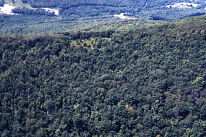 Aerial color image of Taconic Crest Trail at Cruise Line 03 north of Jim Smith Hill. False Color Infrared/True Color Project.