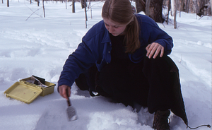 ENVI 102 - Introduction to Environmental Science laboratory. Aya Reiss (Class of 2000) taking snow sample in the Hopkins Forest.