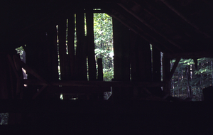 View north from inside the Moon Barn in the Moon Lot / Primmer Farm.