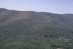 Aerial oblique view Middle and North Branches of Birch Brook and Moon Hollow from Whitman property on 28 May 1972 in the Hopkins Forest.