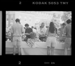 Photographs of a staff picnic on the Valentine Quad, 1992 June